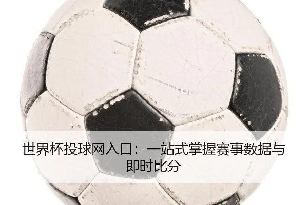 世界杯投球网入口：一站式掌握赛事数据与即时比分