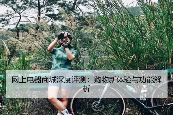 网上电器商城深度评测：购物新体验与功能解析